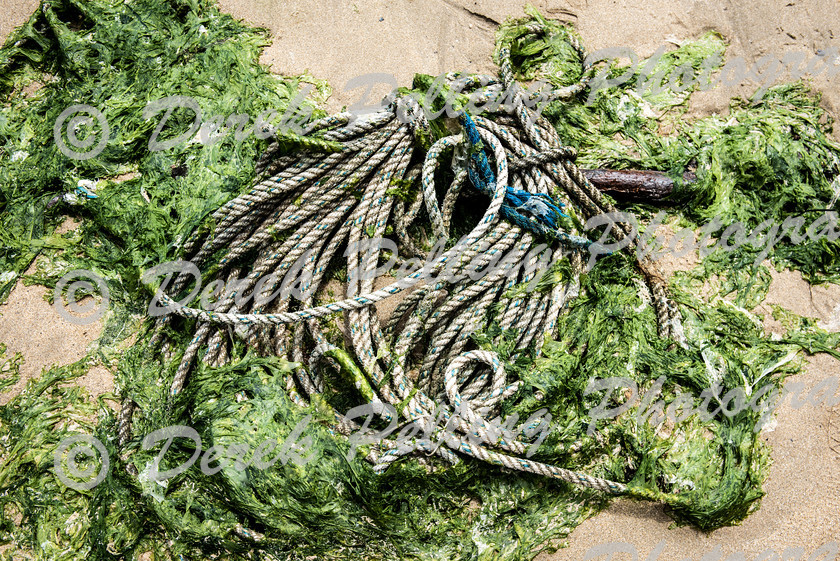 Beached-Rope